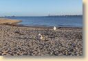 DSCN1143.jpg