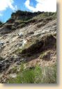 IMG_20170422_122244070_HDR.jpg
