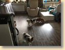 IMG-20170821-WA0000.jpg