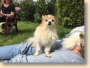 IMG-20170821-WA0005.jpg