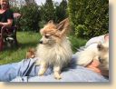 IMG-20170821-WA0007.jpg