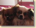 IMG-20170821-WA0009.jpg