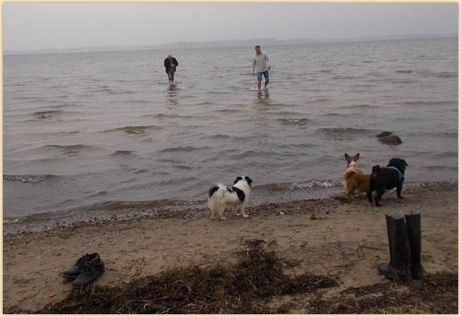 DSCN1313.jpg