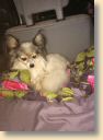 IMG-20180824-WA0008.jpg
