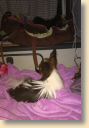 IMG-20180824-WA0010.jpg