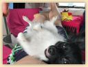 IMG-20190810-WA0007.jpg