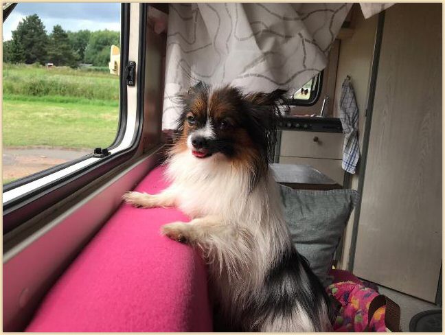 IMG-20190810-WA0008.jpg