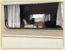 IMG-20190810-WA0009.jpg