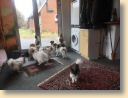 IMG-20180217-WA0024.jpg