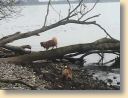 IMG-20180217-WA0037.jpg