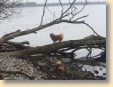 IMG-20180217-WA0038.jpg