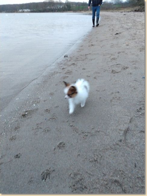 IMG_20201218_155247264.jpg