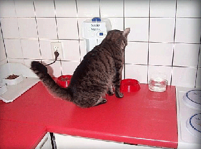 Funky4.gif