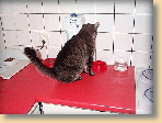 Funky4.gif