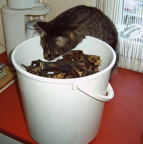 IMG10006.jpg