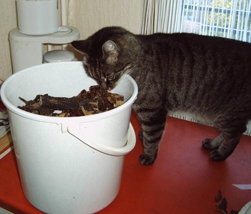 IMG10008.jpg
