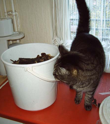 IMG10009.jpg