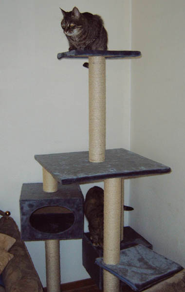 Jan06_007.jpg