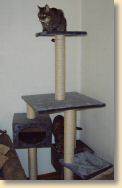Jan06_007.jpg