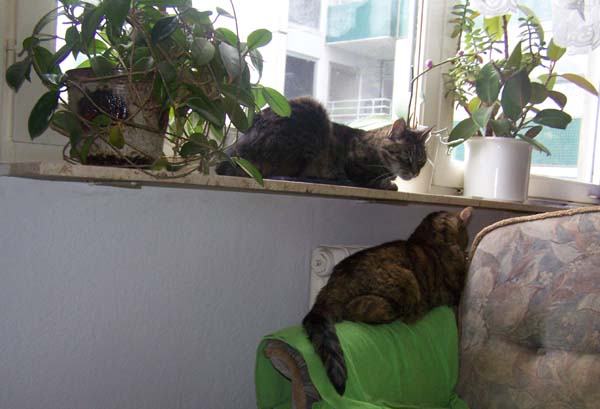 210209_018.jpg