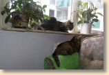 210209_018.jpg