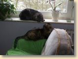 210209_021.jpg