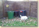 080208_003.jpg