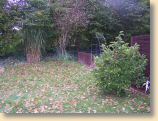garten1810_009.jpg