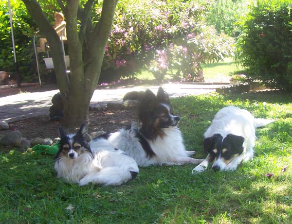 010609_Garten_Freunde_010.jpg