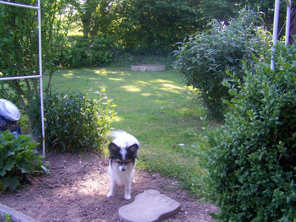 010609_Garten_Freunde_013.jpg
