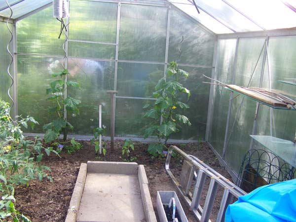 010609_Garten_Freunde_016.jpg