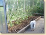 010609_Garten_Freunde_017.jpg