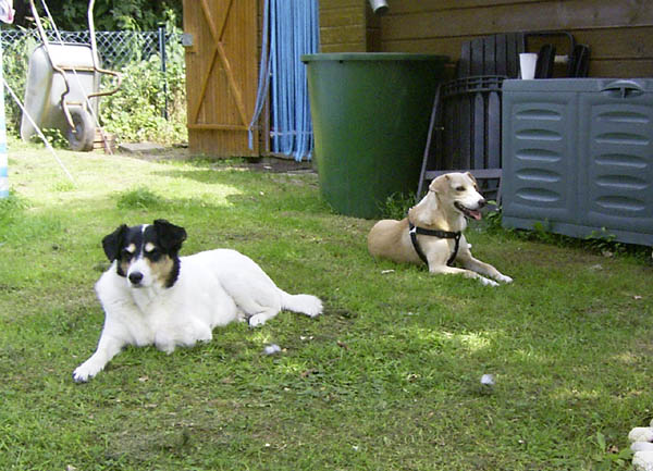 080809_018.jpg