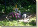 100509Garten005.jpg