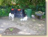 100509Garten011.jpg