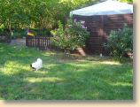 100509Garten014.jpg