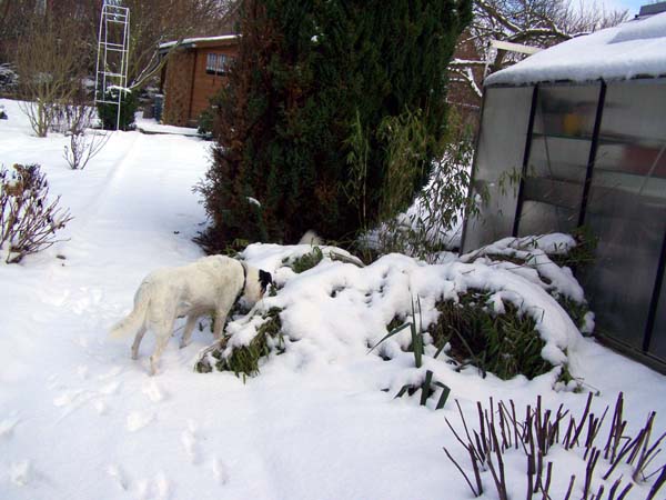 140209_003.jpg