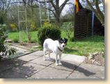 130409Garten_007.jpg