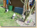130409Garten_010.jpg