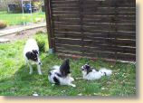 130409Garten_012.jpg