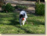 180409Garten_014.jpg