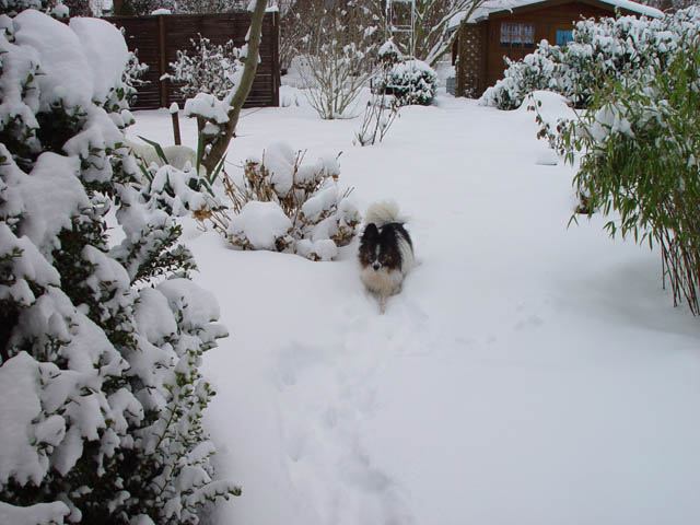 DSC00364.jpg