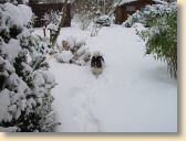 DSC00364.jpg