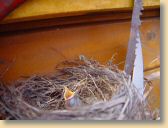DSC00837.jpg