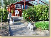 DSC00858.jpg