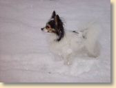 DSC00277.jpg