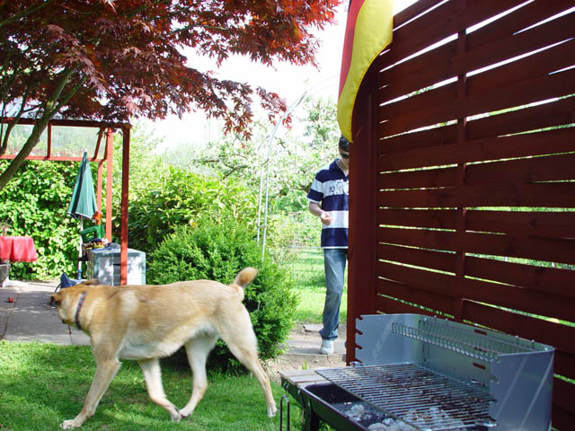 DSC00875.jpg