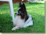 DSC00877.jpg