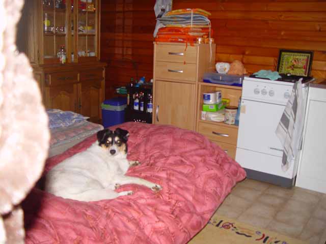 DSC01052.jpg