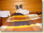 DSC01062.jpg